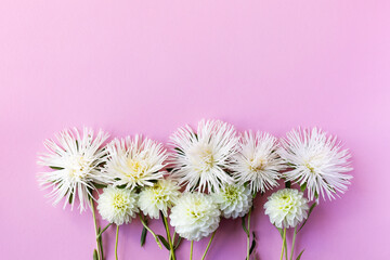 Floral arrangement of white aster and dahlia flowers on a pink background with a place for text, flat lay