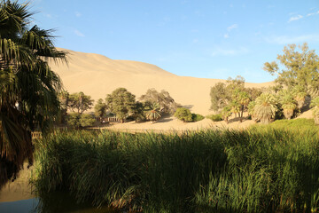 Huacachina - an oasis in the middle of the Peruvian desert, view of palm trees and a lagoon with boats and sandy dunes in the background.