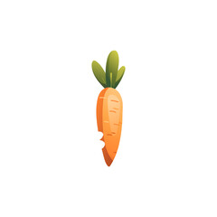 Orange Cartoon Bitten Carrot Vector Illustration