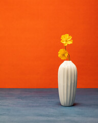 Two Yellow Wildflowers in White Vase