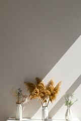Dried pink and yellow flowers in white vase against white wall. Home interior autumn decor banner