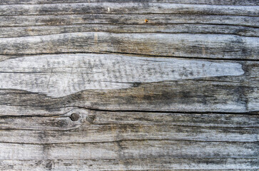 Old wood plank close-up wall background for design and decoration. Textured beautiful abstract surface for wallpapers and backgrounds
