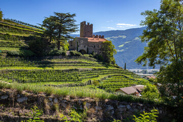 Weinberge bei Naturns