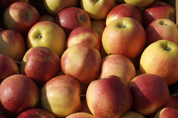 Fototapeta na wymiar red apples in a market. new harvest, background, food texture.
