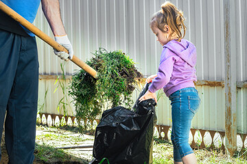 adults and children do household chores together, clean and tidy. dad and little girl clean leaves and garbage in the yard