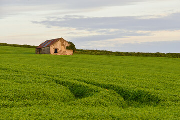 Obraz premium country site in Kinsale, view of old house