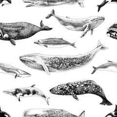 Monochrome seamless pattern with different whales.
