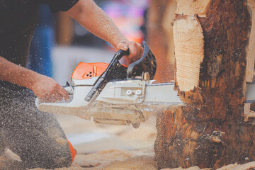 Close-up woodcutter sawing chain saw in motion, sawdust fly to sides. Concept Chainsaw industry