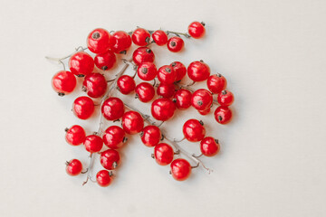 Sprigs of red currant on white background. Fresh bright currant. Sweet juicy currant, organic berries harvest - healthy eating and food concept.