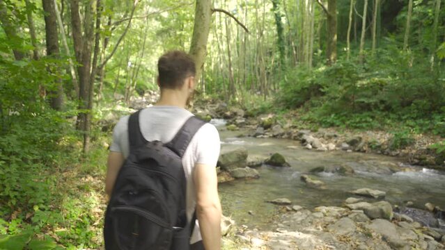 Young man watching the flow of water in the stream.
Young man walking among the trees in the forest stands by the stream and watches.
