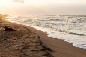 Waves hitting the beach at sunset and sunlight hitting the sea