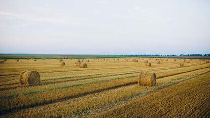hay in a circle on the field