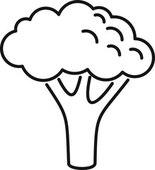 One brocoli icon outline vector. Vegetable cabbage. Plant salad