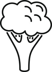 Brocoli head icon outline vector. Vegetable cabbage. Plant salad