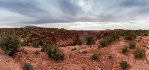 Scenic Panoramic View of American Landscape and Red Rock Mountains in Desert Canyon. Colorful Sky. Canyonlands National Park. Utah, United States. Nature Background Panorama