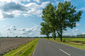 An empty roadway outside the city passes by a rural field and a blooming meadow. Travel by car away from the city and the hustle and bustle. Paved road on a sunny day without cars.