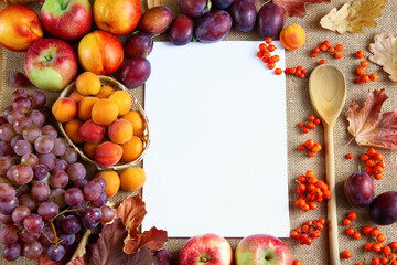 Tło kulinarne z jesiennymi owocami i białą kartką - obrazy, fototapety, plakaty