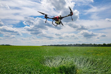 Fototapeta na wymiar A modern solution in agricultural. Use of robotic systems with agriculture spraying drone fly to sprayed spraying chemical from insects - insecticides, fungicides, acaricide, or herbicides from weeds.