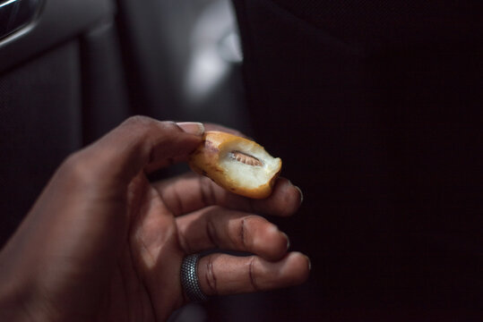 Eating date fruit on a trip to Kano. Northern region of Nigeria