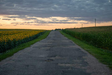 An empty roadway outside the city passes by a rural field and a blooming meadow. Travel by car away from the city and the hustle and bustle. Paved road on a sunny day without cars.