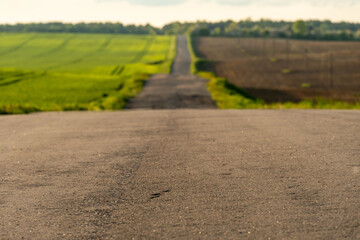 An empty roadway outside the city passes by a rural field and a blooming meadow. Travel by car away...