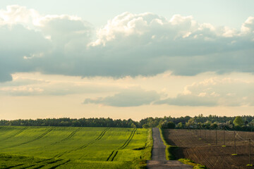 An empty roadway outside the city passes by a rural field and a blooming meadow. Travel by car away...