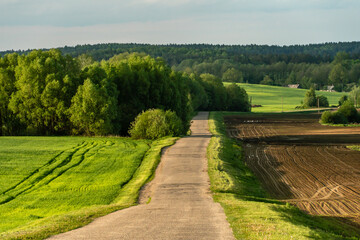 Beautiful sunset over an empty road in the countryside. An empty asphalt road runs along a field and forest during sunset.