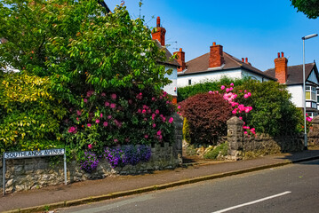 Fototapete bei efototapeten.de bestellen   
