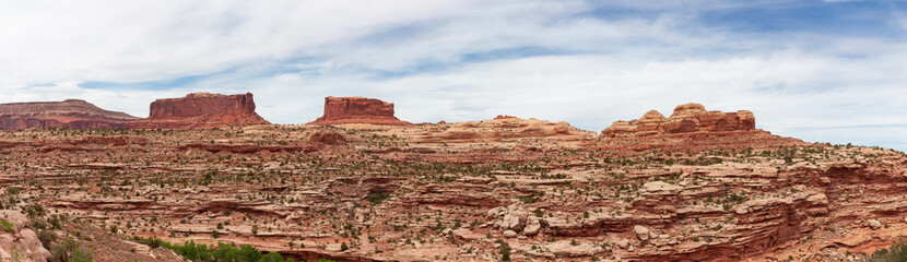 Fototapeta premium Scenic American Landscape and Red Rock Mountains in Desert Canyon. Spring Season. Canyonlands National Park. Utah, United States. Nature Background Panorama
