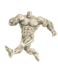 muscle maps of a strong man doing a fast jump