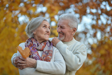Nice elderly couple in a autumn park