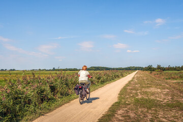 Dutch rural area in the summer season. The sky is clear blue and the sun is shining brightly. A...
