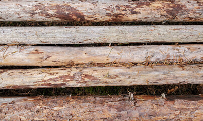Wooden logs lie horizontally on the ground in one row, side view or frome above. Perspective view of peeled logs, texture, background.