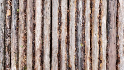 Wooden logs lie vertically on the ground in one row, side view or frome above. Perspective view of peeled logs, texture, background.