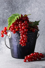 Organic juicy red currant in black buсket on dark rustic background close up, vertical image.