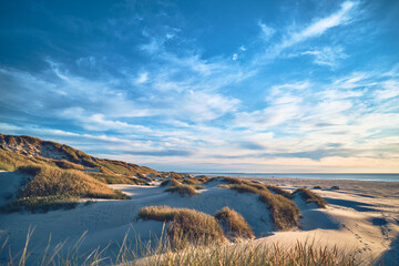 Obraz premium Wide Dunes at the danish north sea shore. High quality photo
