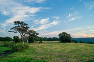Fototapeta na wymiar Burren National Park In Clare, view of landskape