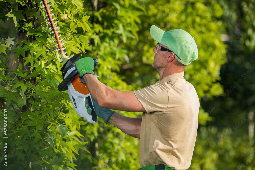 Wall mural Gardener Using Hedge Trimmer