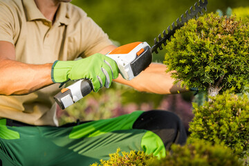 Hand Held Hedge Trimmer in Use