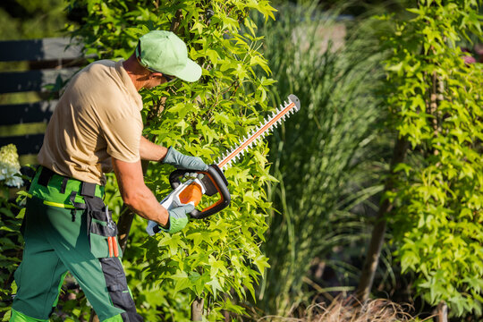 Landscaper Shaping Shrub with Hedge Cutter