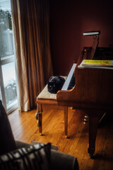 black cat sitting on piano bench in front of brown wood baby grand piano 