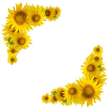 Sunflower Circle Border Images – Browse 1,453 Stock Photos, Vectors ...