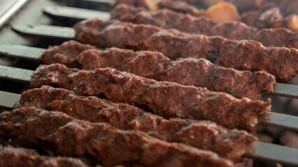 Arabic traditional food Shish taouk on the grill.