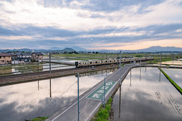 栃木　宇都宮線と春の水田