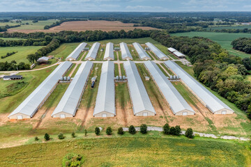 Aerial view of Poultry houses and farm in Tennessee. - Powered by Adobe