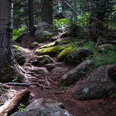 Of to see the Wizard !