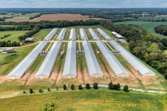 Poultry houses fixtures lay out hi-res stock photography and, cuba fc  fixtures 