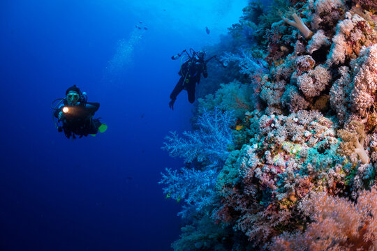 Scuba Diving And Exploring The Coral Reefs In The Southern Red Sea Of Egypt
