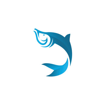 fish logo design with creative concept premium vector