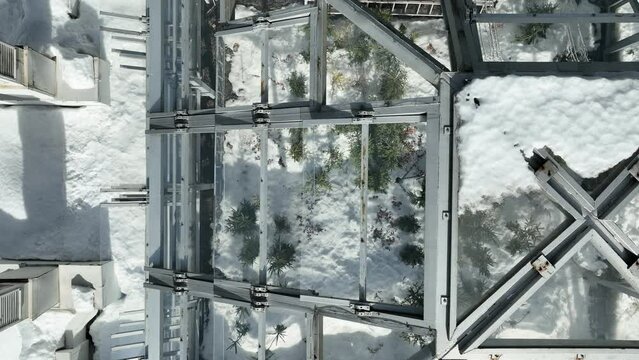 Technology station science greenhouse snow winter frost drone aerial open top chambers climate change research Bily Kriz, plant spruce Norway European mountain beech Fagus sylvatica common scientific